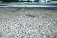Drought2