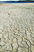 Texasdrought
