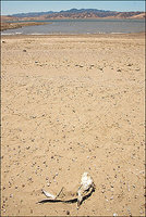 Ph2007081701603