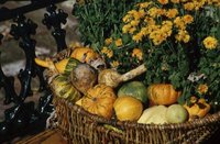 Fallharvest