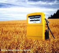 Biofuels_vs_food_3