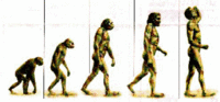 Evolution
