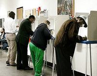 Voter