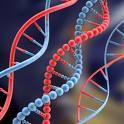 Dna