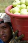 Workingimmigrants