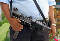 Mexico-gun