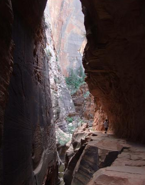 "Best of the West" Chasm Spring at Zion